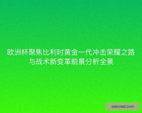 欧洲杯聚焦比利时黄金一代冲击荣耀之路与战术新变革前景分析全景