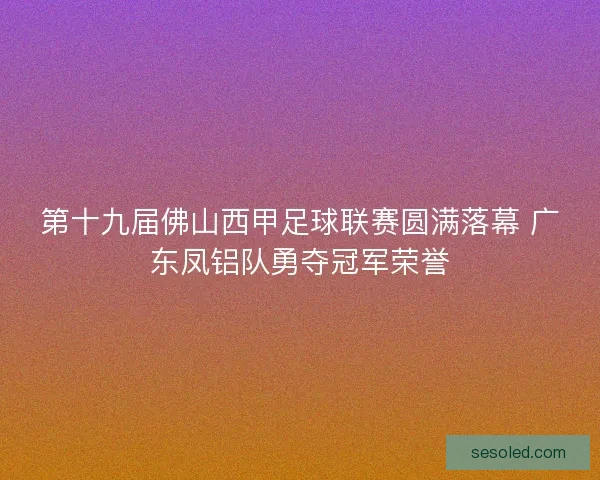 第十九届佛山西甲足球联赛圆满落幕 广东凤铝队勇夺冠军荣誉