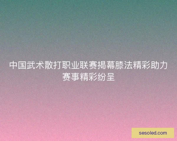 中国武术散打职业联赛揭幕膝法精彩助力赛事精彩纷呈